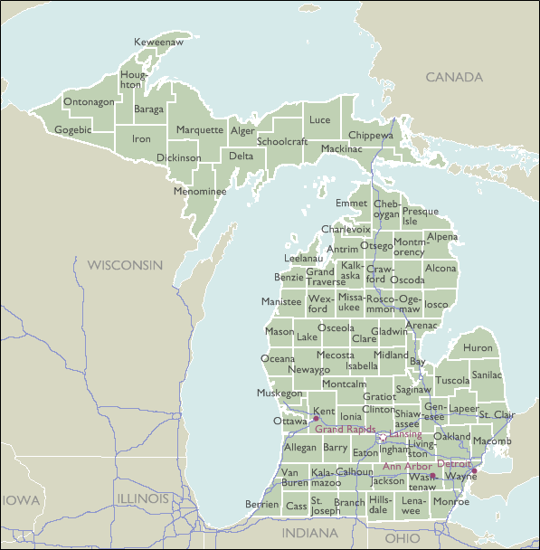 County Zip Code Wall Maps of Michigan - marketmaps.com